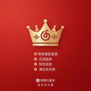 网易云音乐动态功能使用指南